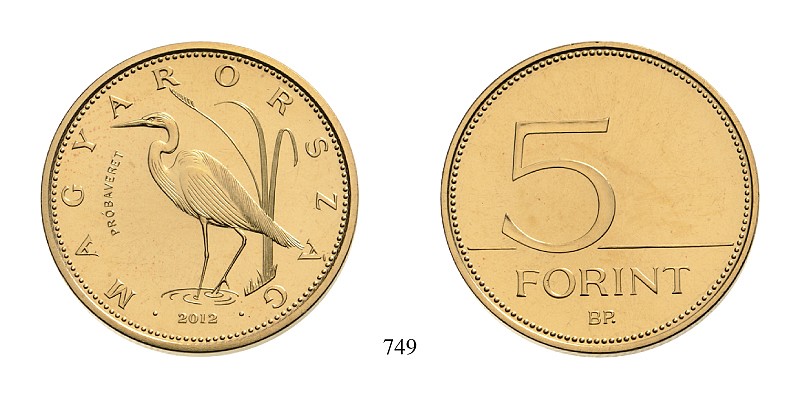 1701674.jpg