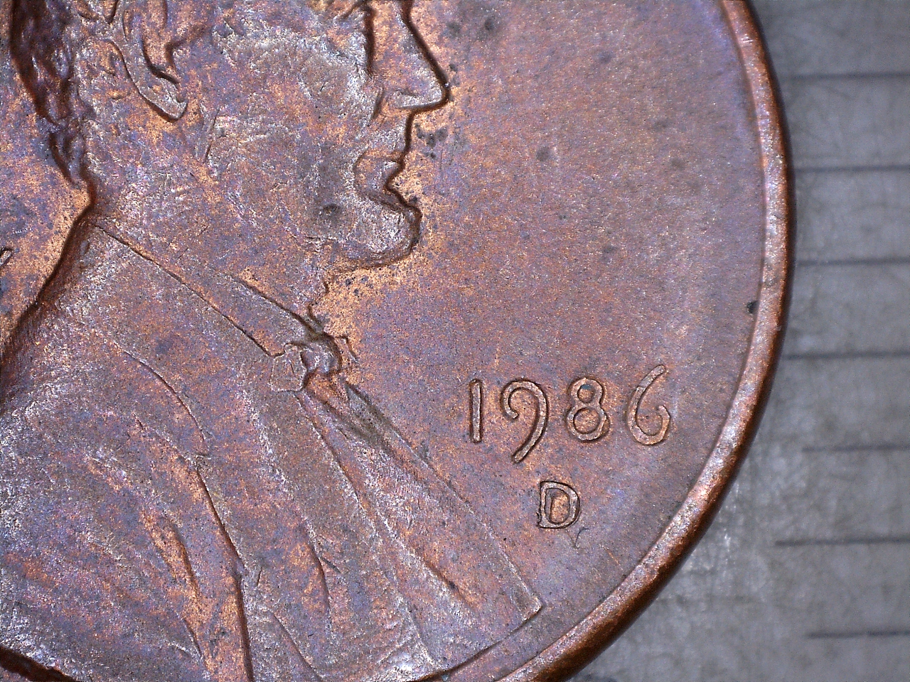 1712313619100.jpg
