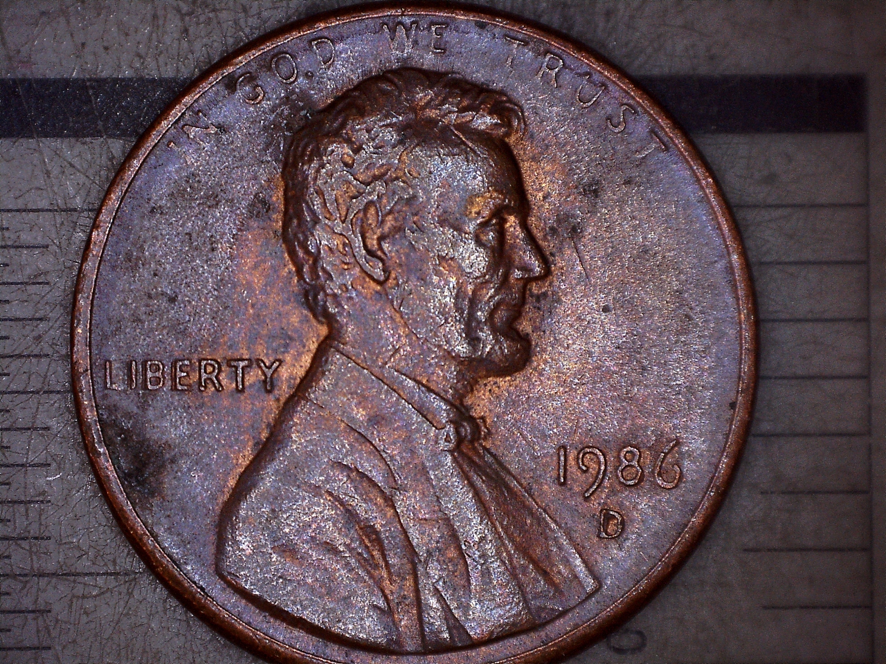 1712313653366.jpg