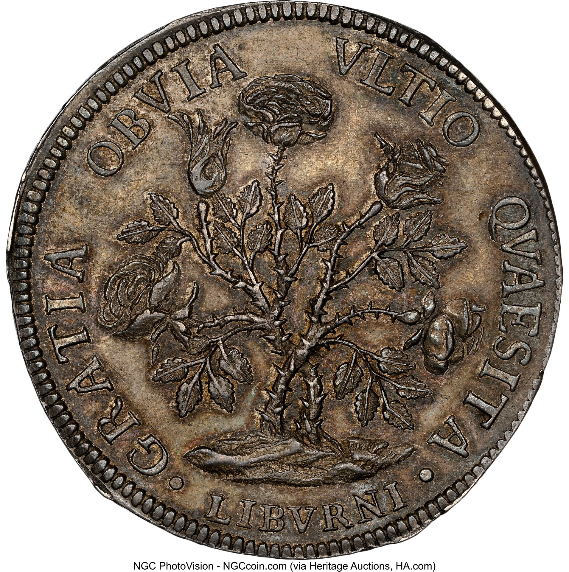 1713 MS63 NGC, KM15.4, Dav-1501_lf_01.jpg