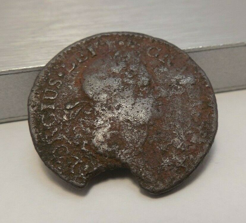 1722 rosa.jpg
