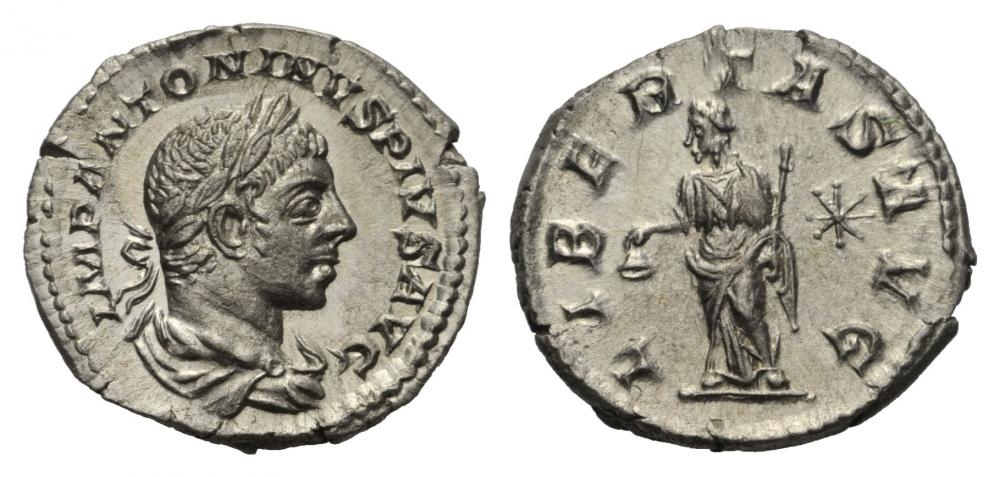 17223_0.jpg