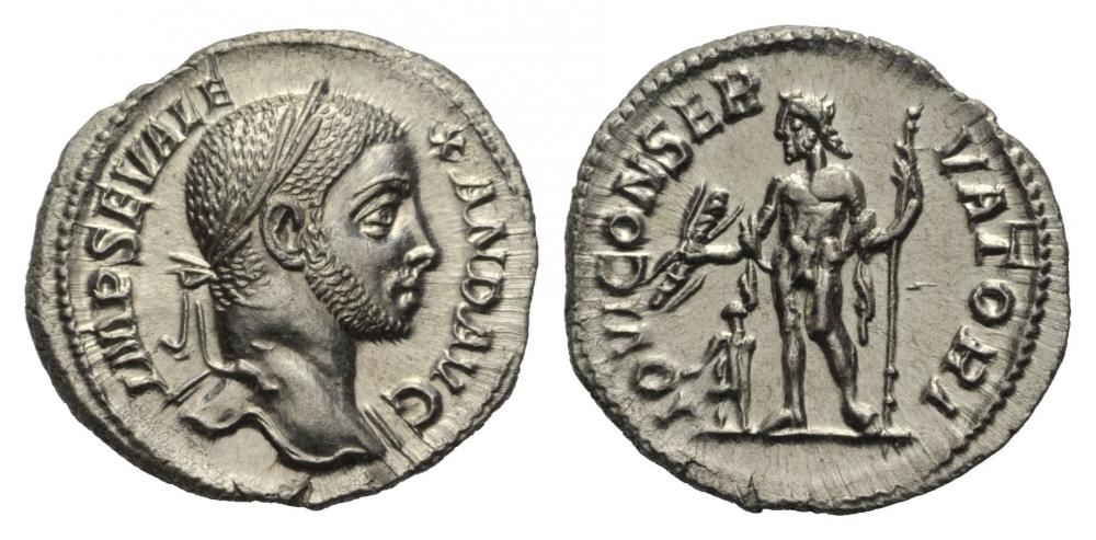 17234_0.jpg