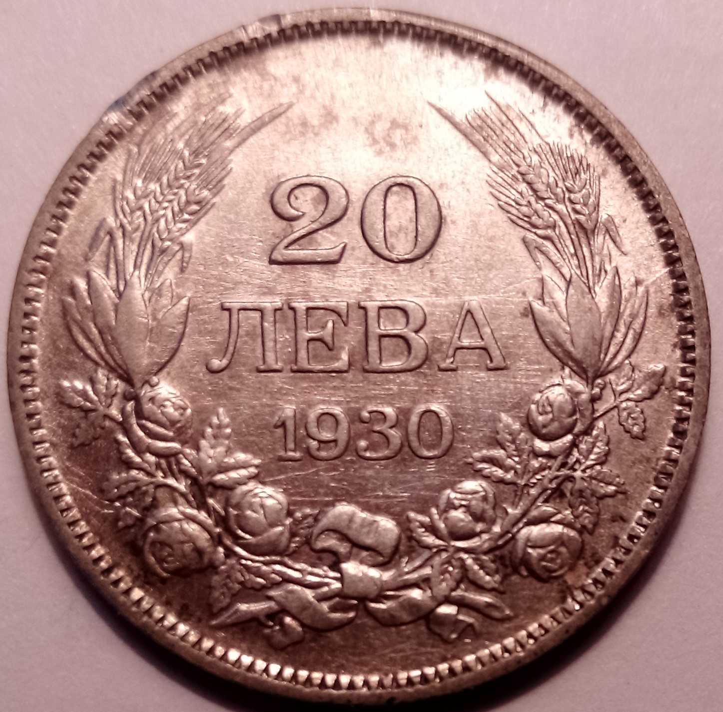 173.jpg