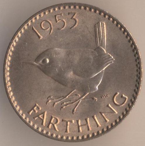 173.jpg