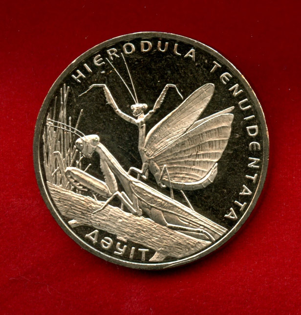 1730a.jpg