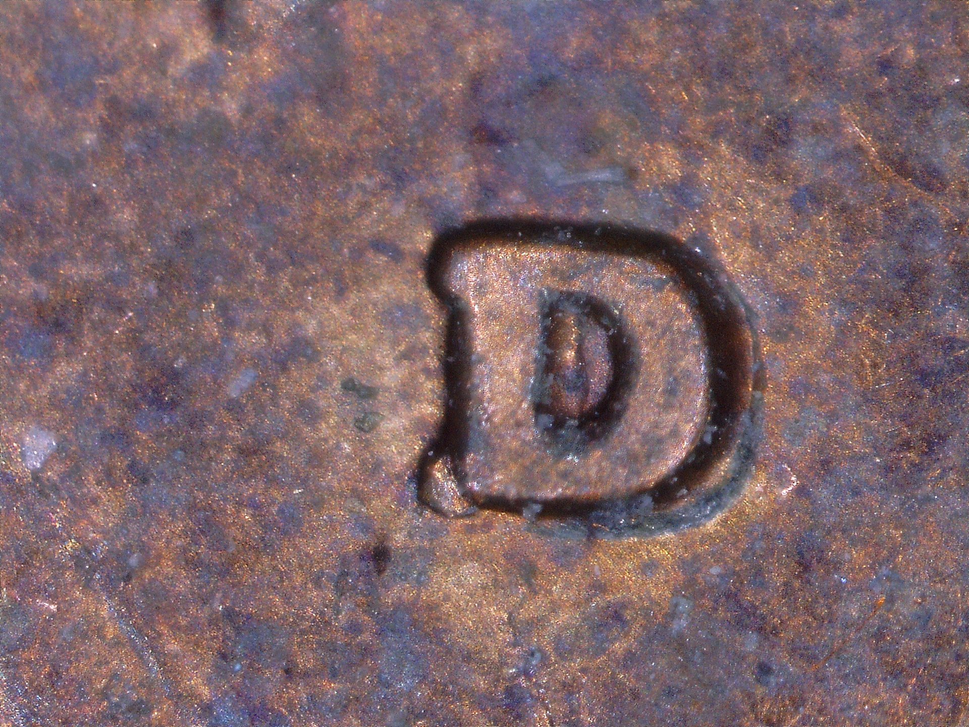 1731218716256.jpg