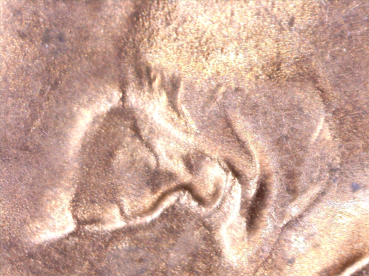 1731520274813.jpg