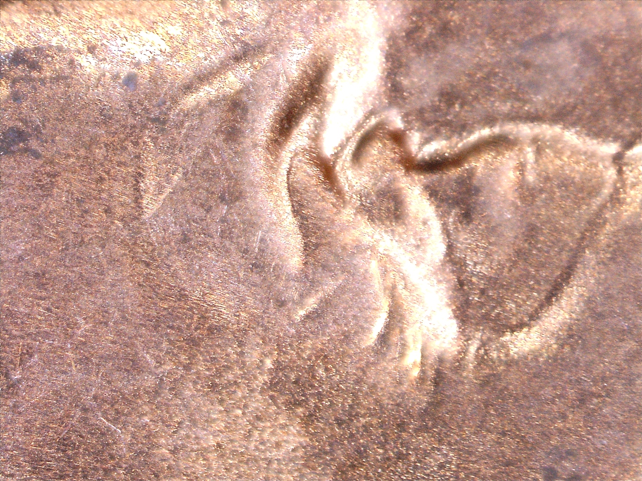 1731520286389.jpg
