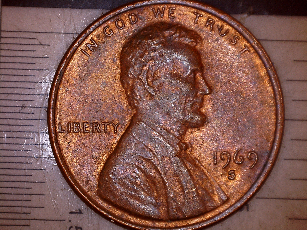 17315213427720.jpg