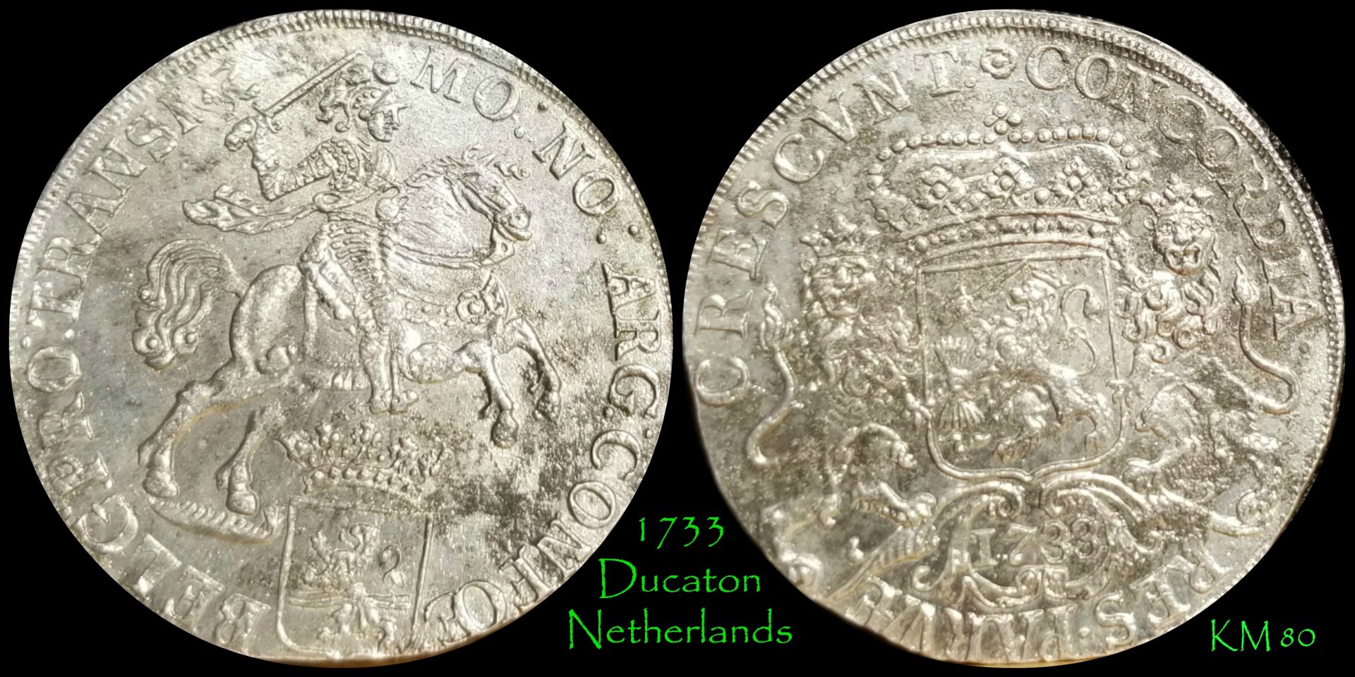 1733 Ducaton.jpg