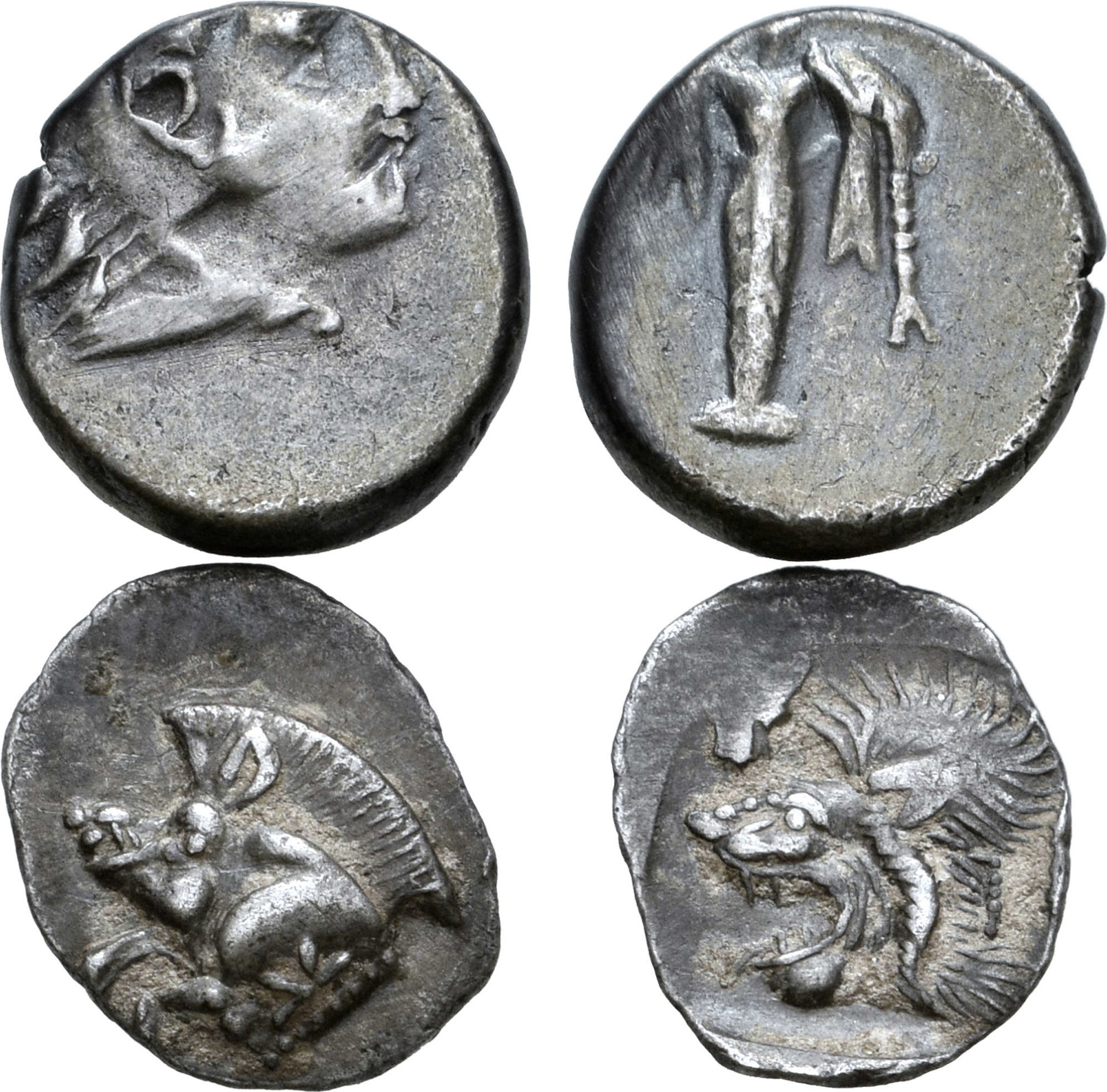 17371.1.6_1.jpg