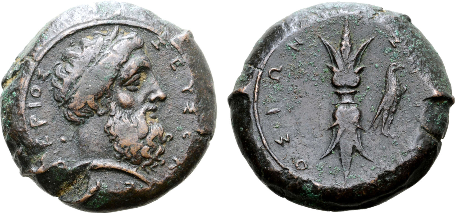 17397.1.4_1.jpg