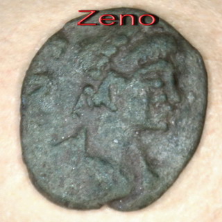 174-01A-Zeno.jpg