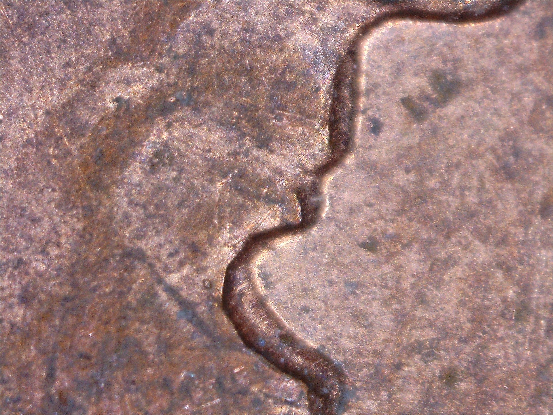 17411195624537.jpg