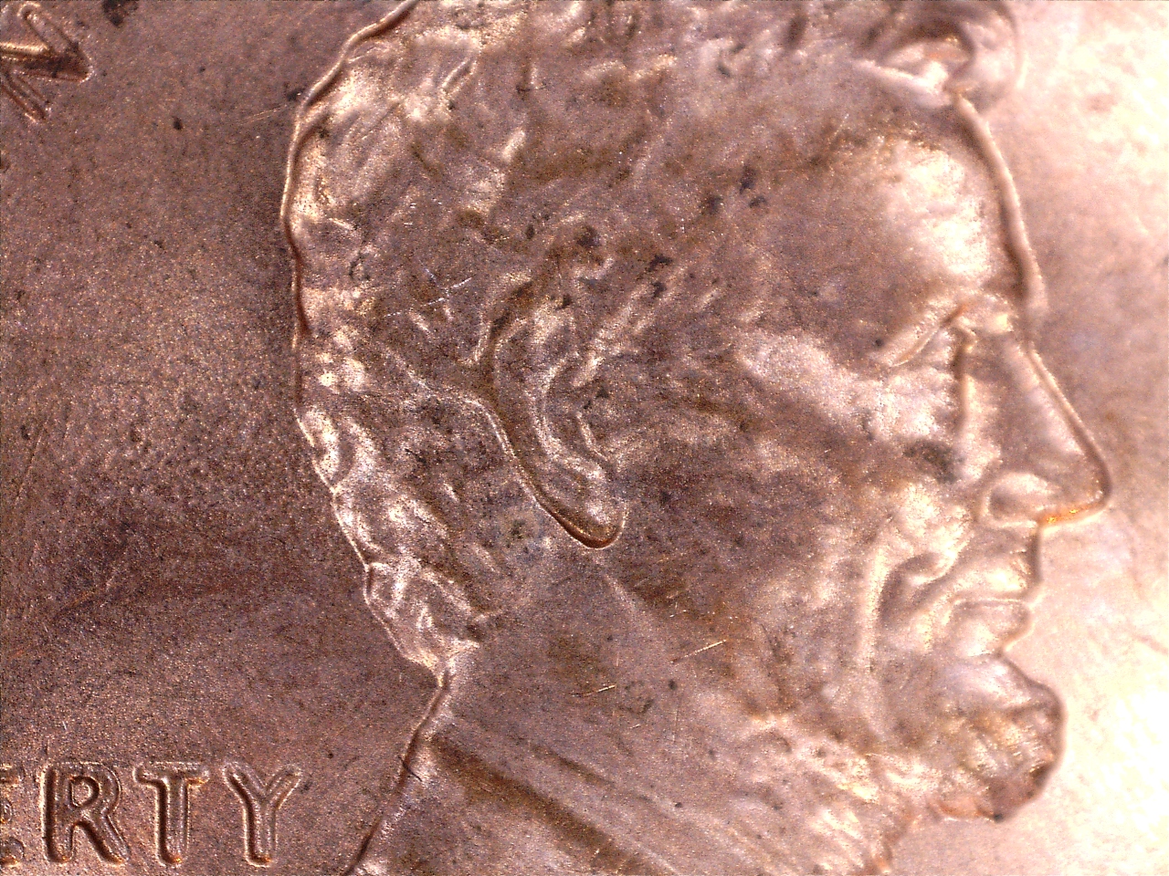 1747224149661.jpg