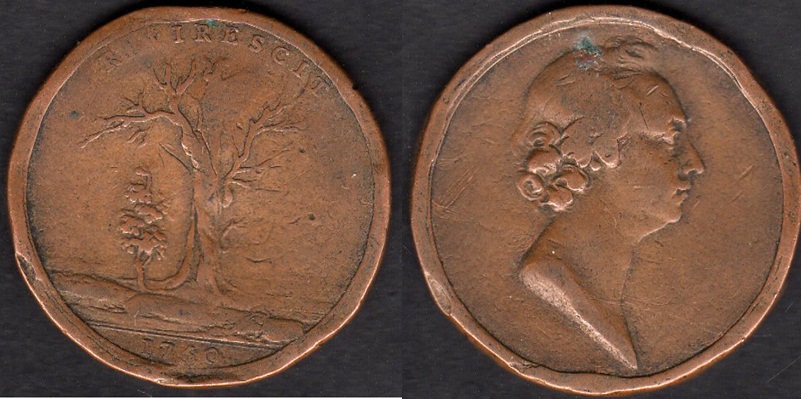 1750.jpg