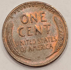 1766832686913018602.jpg