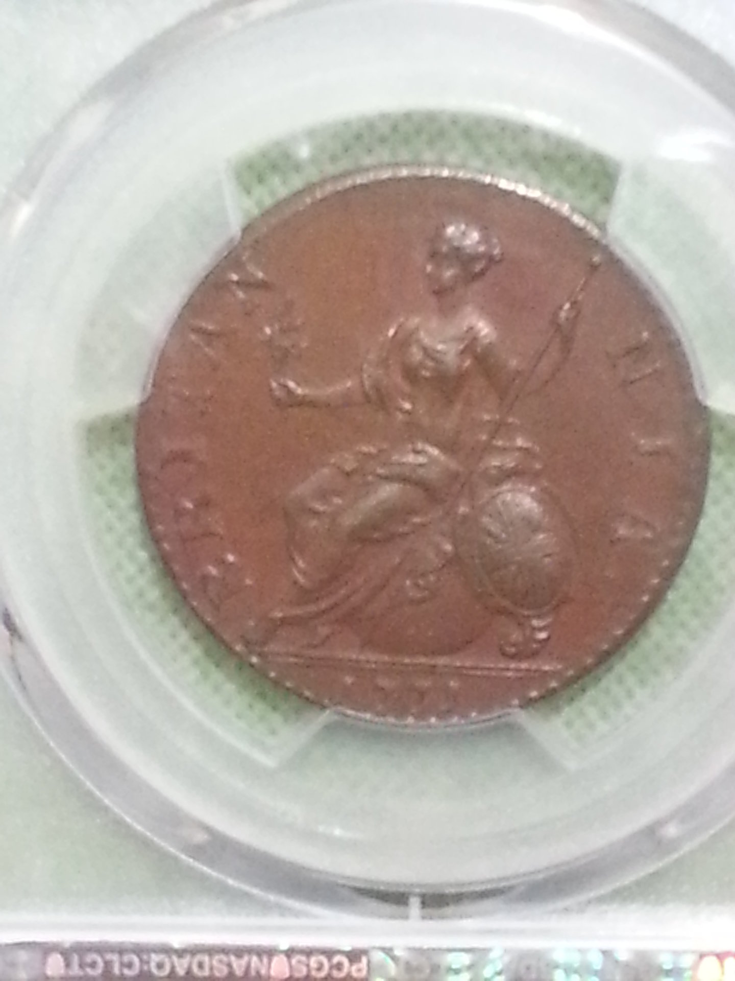 1771e1.jpg