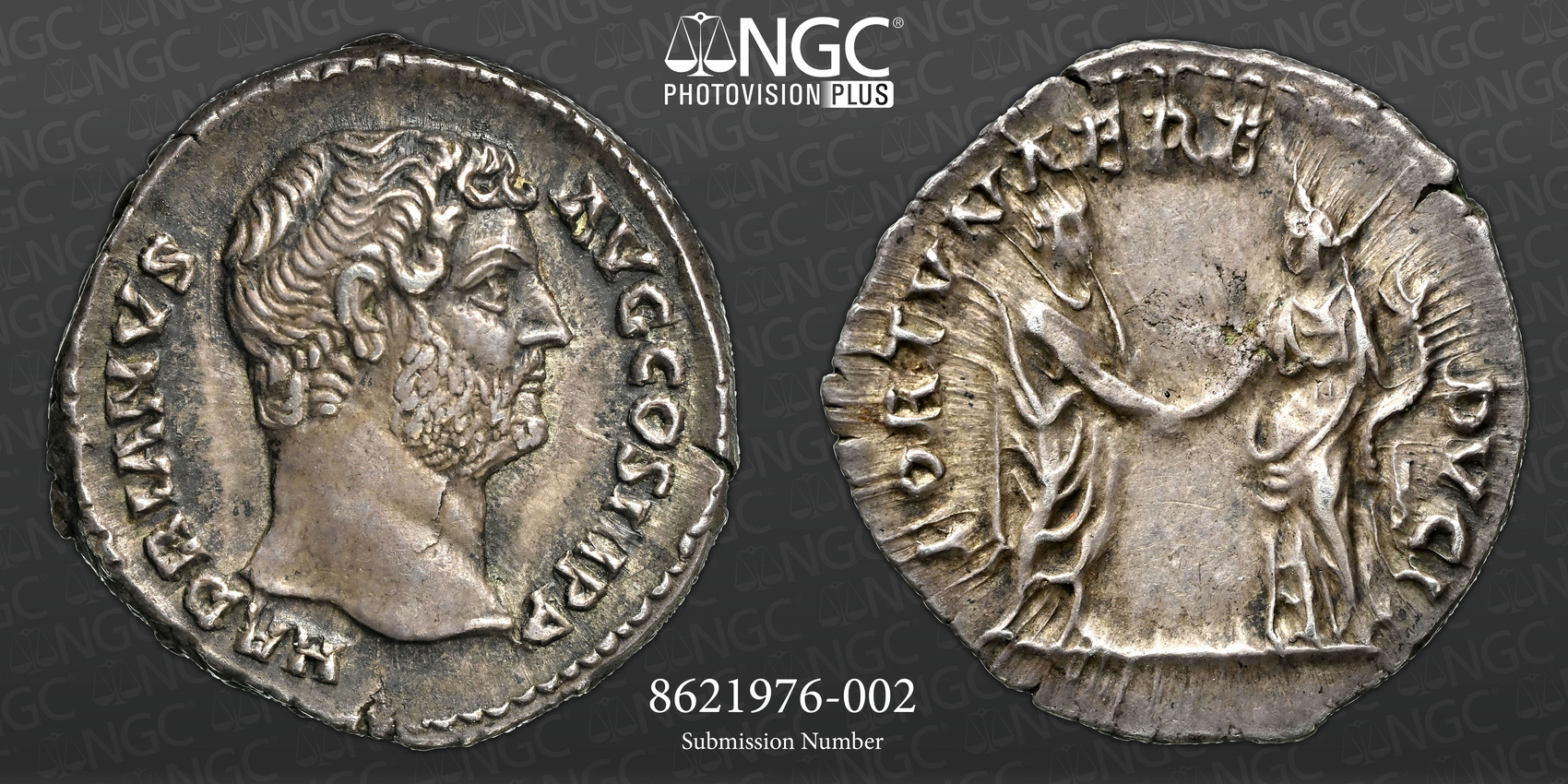 177469274083303926 (1).jpg