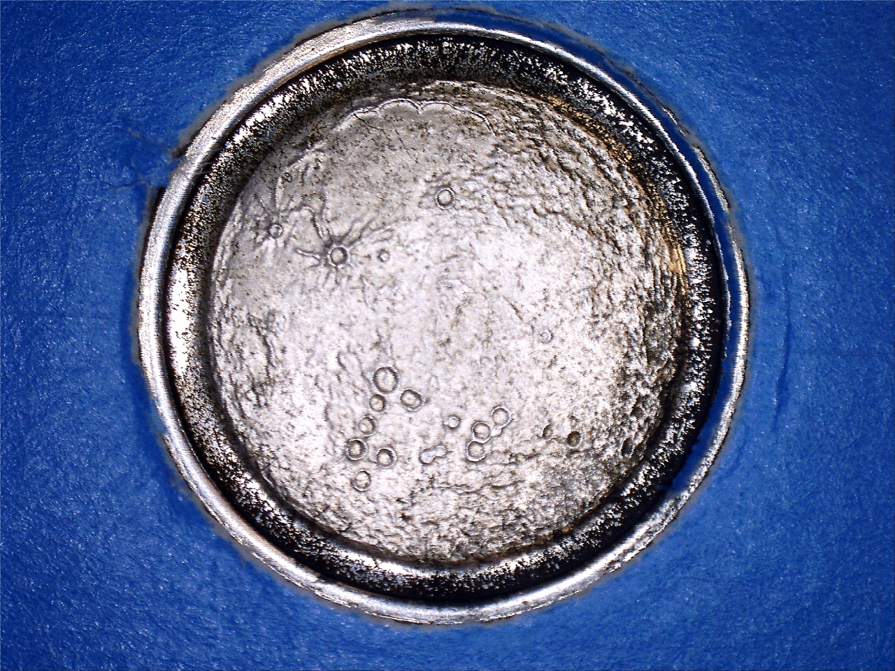 17820174156476.jpg