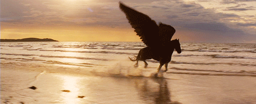 1785440211pegasus-beach-amazing-gif.gif