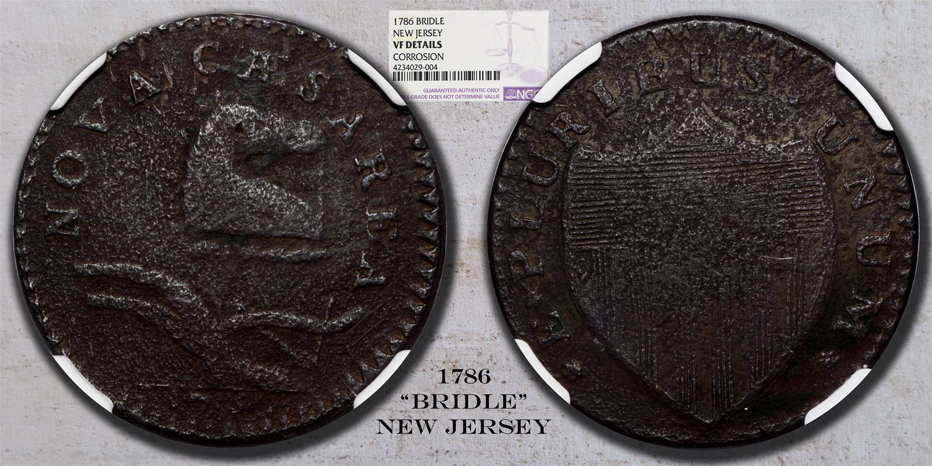1786 New Jersey Bridle (Custom).jpg