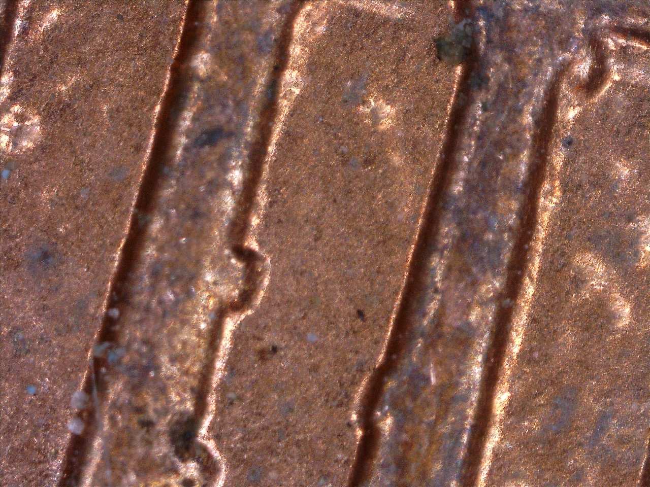 179142053283.jpg