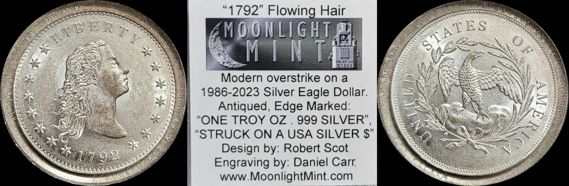 1792  Flowing Hair over-strike 1-horz.jpg