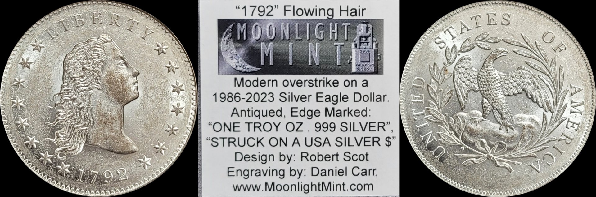 1792  Flowing Hair over-strike 1a-horz.jpg