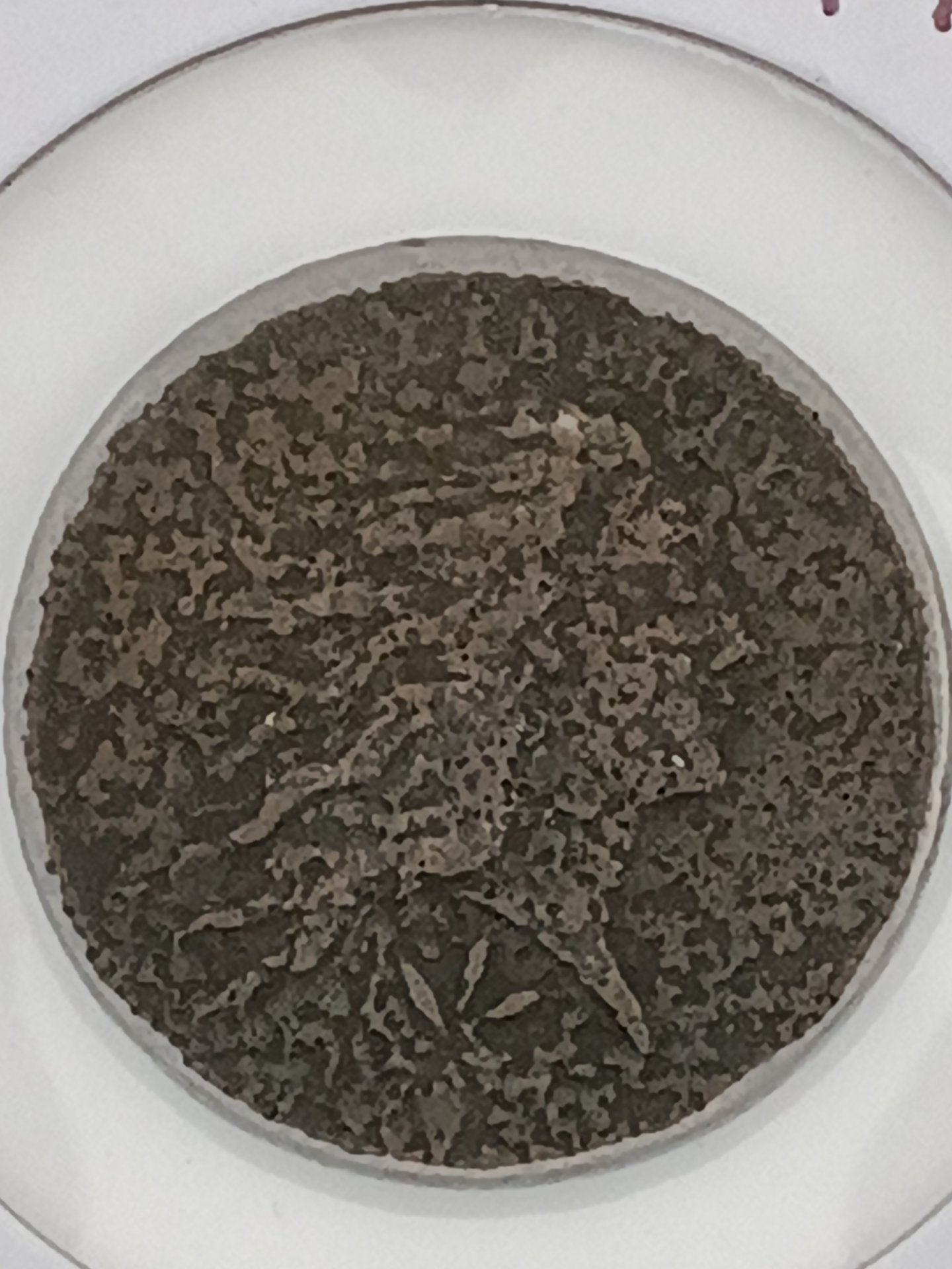 1793 Flowing Hair - Obverse - Vine and Bars.jpg
