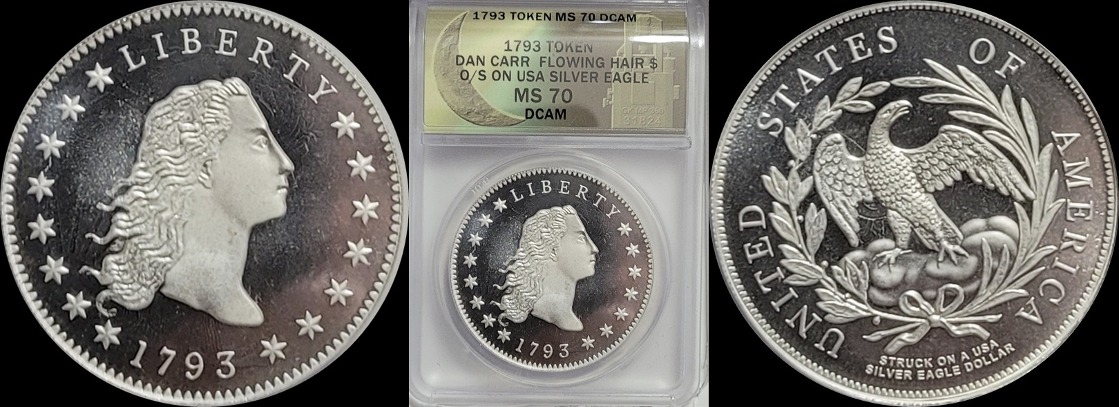 1793 Flowing Hair over-strike 1a-horz.jpg