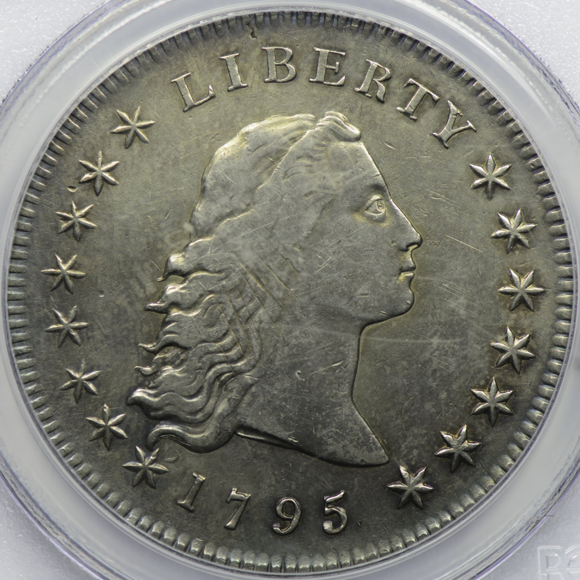 1795 $1 B-2 BB-20 2 Leaves Genuine - VF Details Cleaned Obv Closeup.jpeg