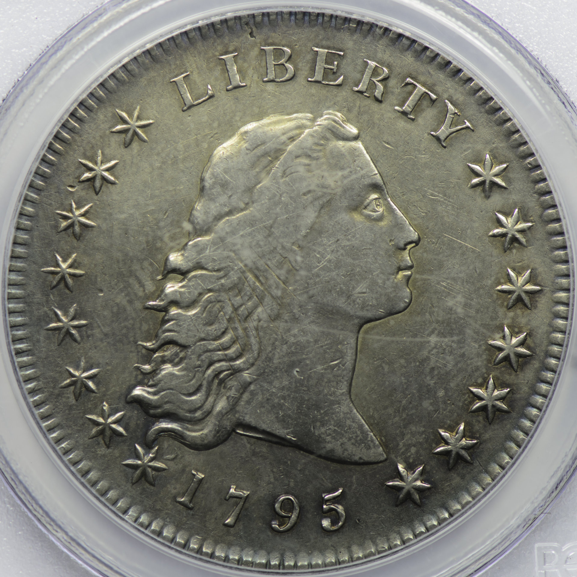 1795 $1 B-2 BB-20 2 Leaves Genuine - VF Details Cleaned Obv Closeup.jpg