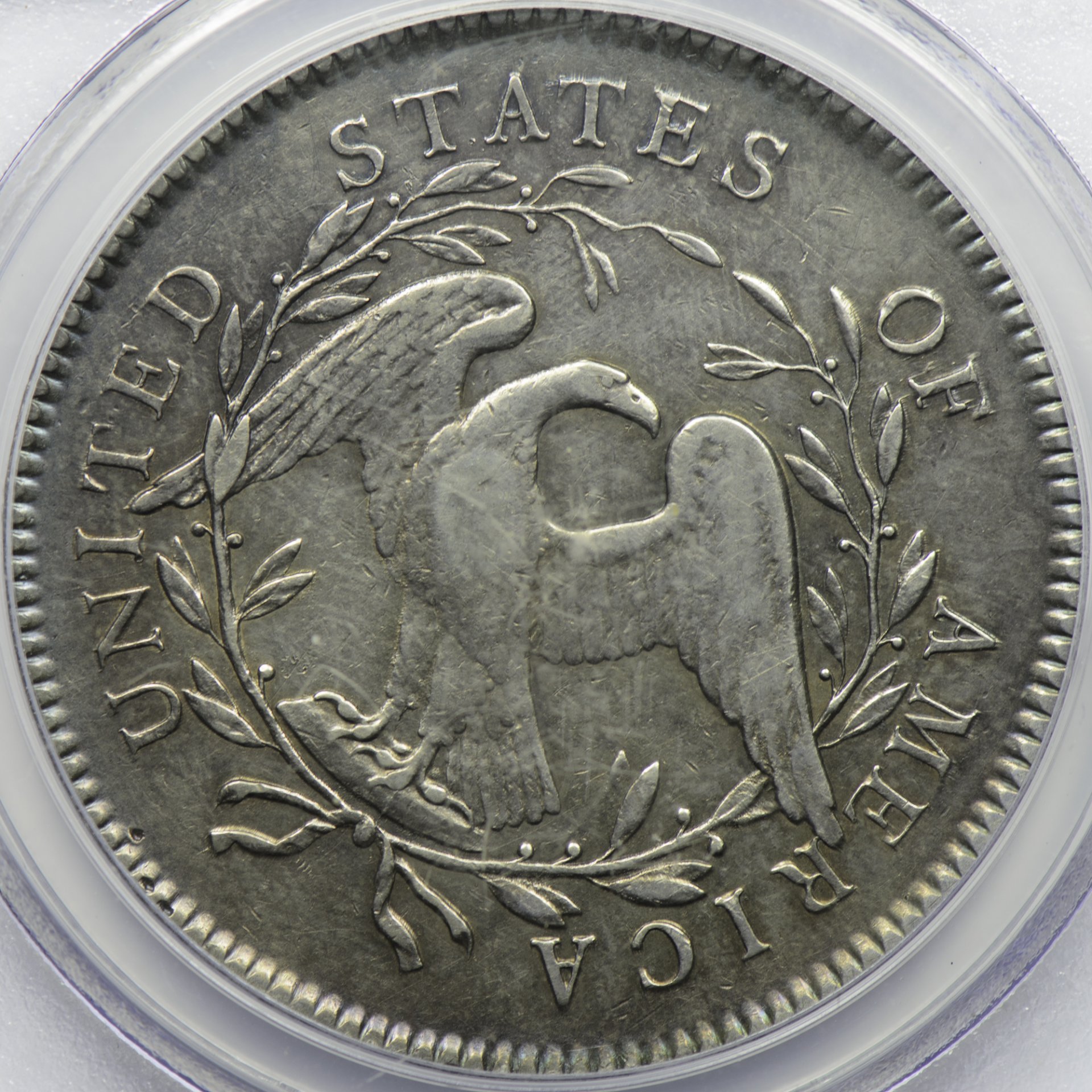 1795 $1 B-2 BB-20 2 Leaves Genuine - VF Details Cleaned Rev Closeup.jpeg