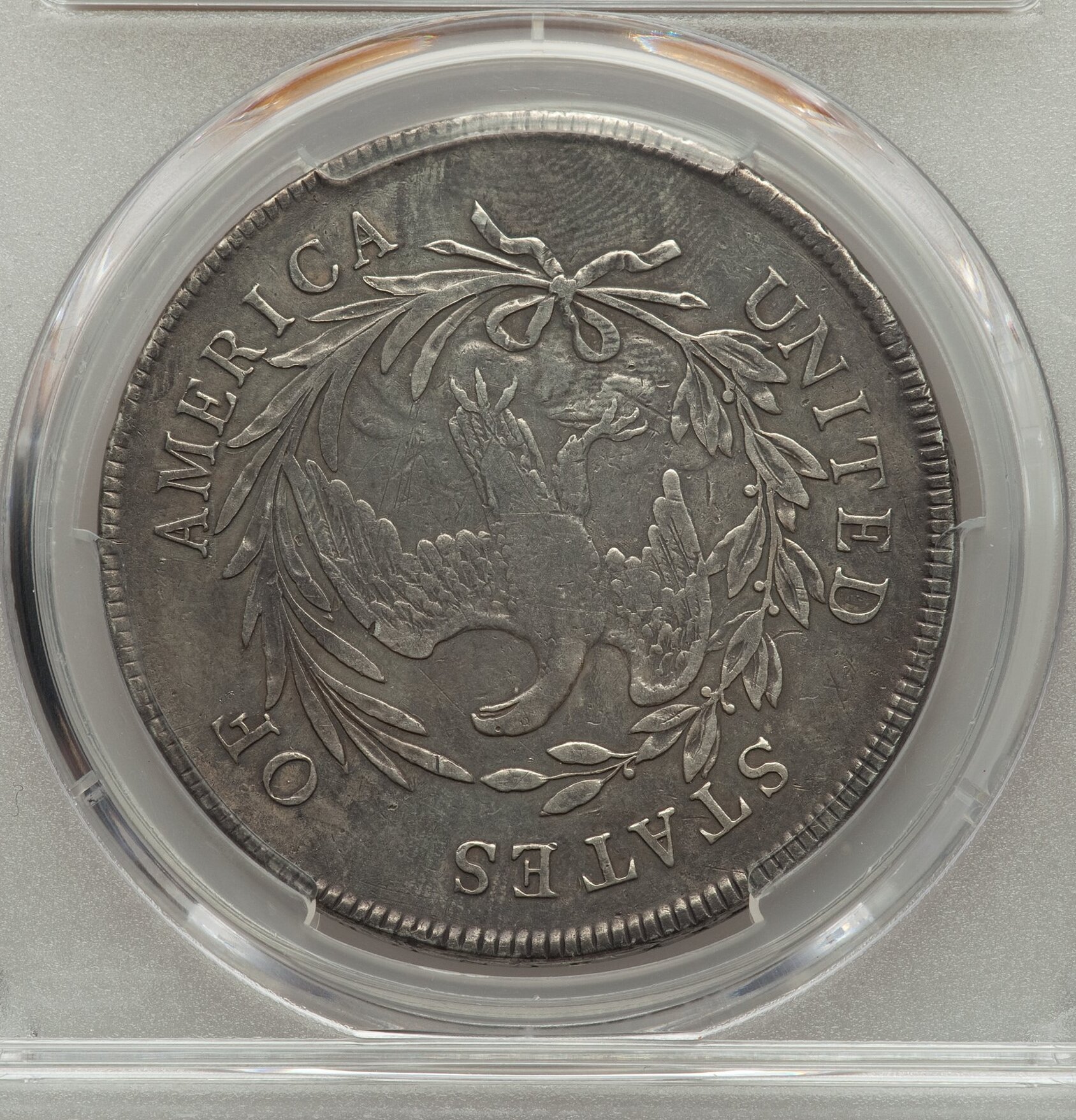 1795 Bust Dollar Plugged Rev (2).jpg