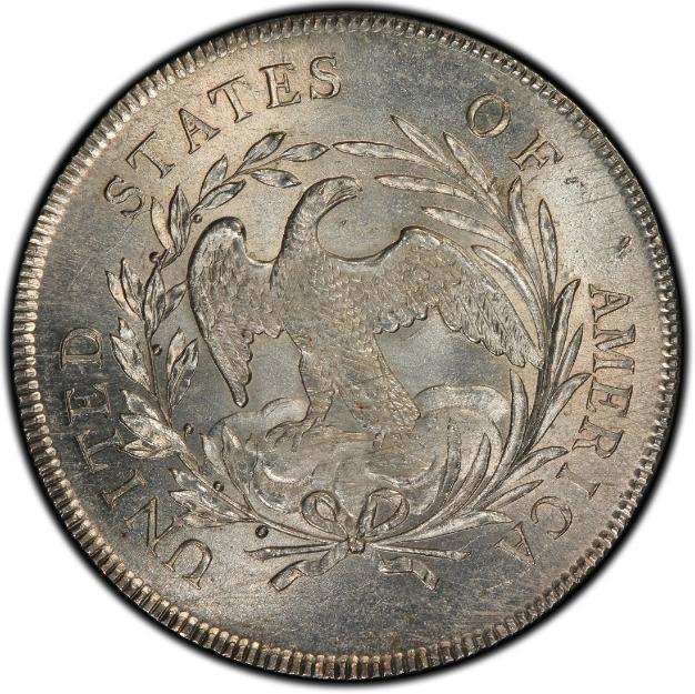 1795 Bust Dollar - Reverse.jpg