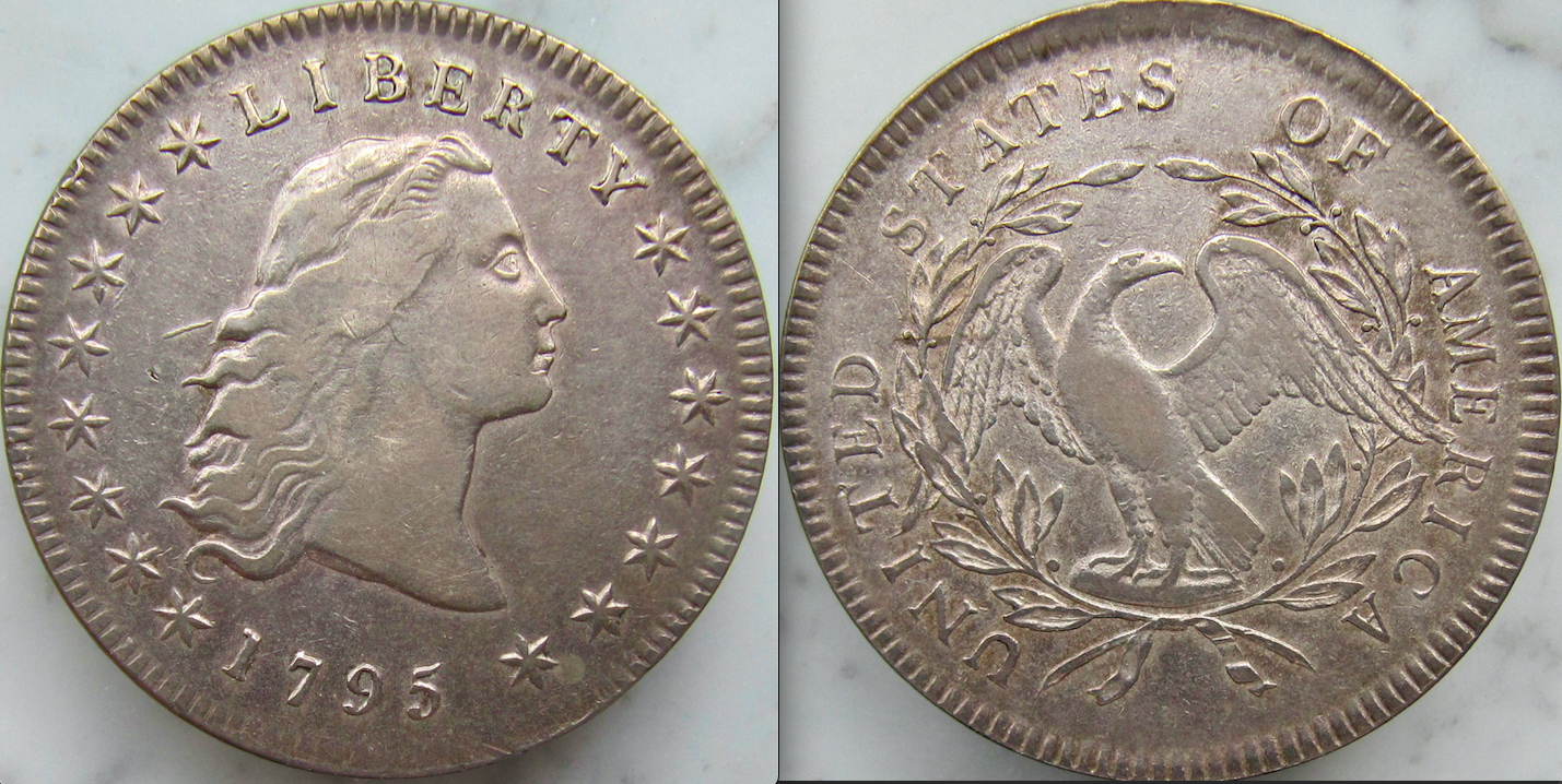 1795 Dollar Flowing Hair - OBV:REV - VGP - June 2021 .png