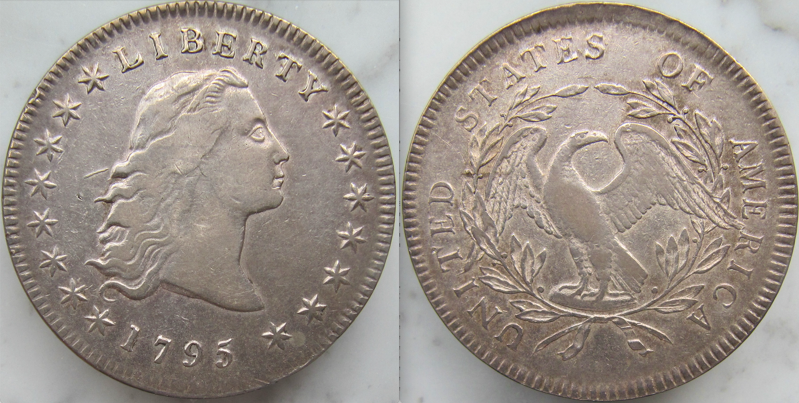 1795 Flowing Hair Dollar - B5- OBV:REV - VGP - Natural lighting.png