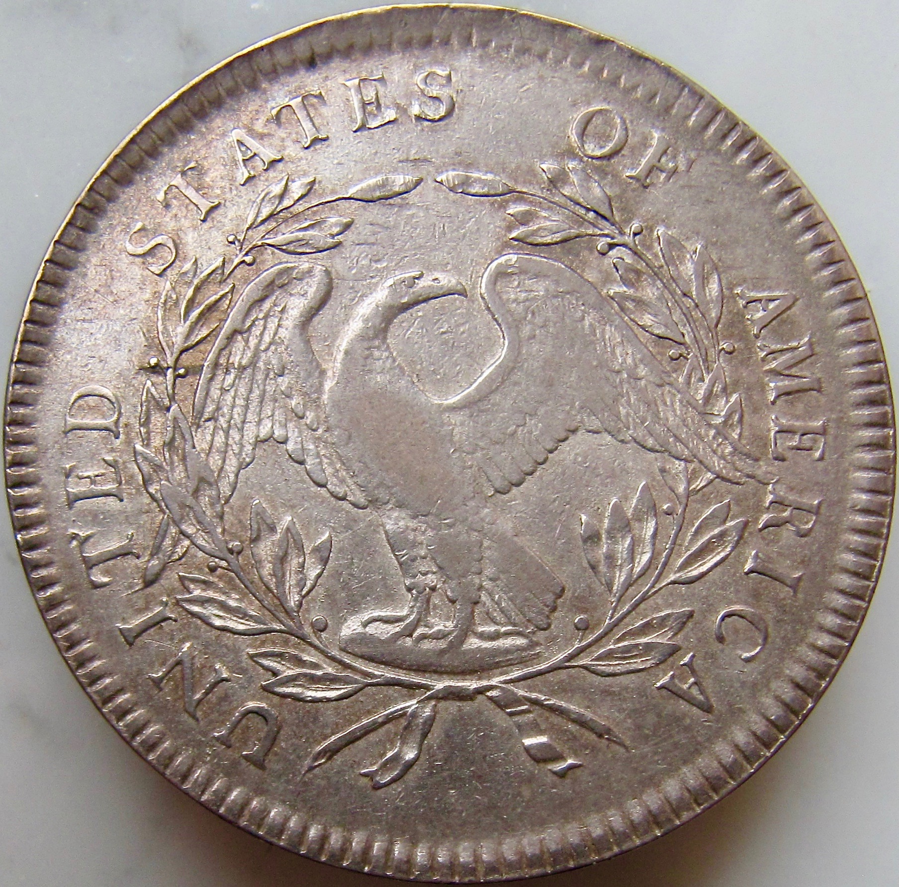 1795 Flowing Hair Dollar REV1 N better  picture.jpg