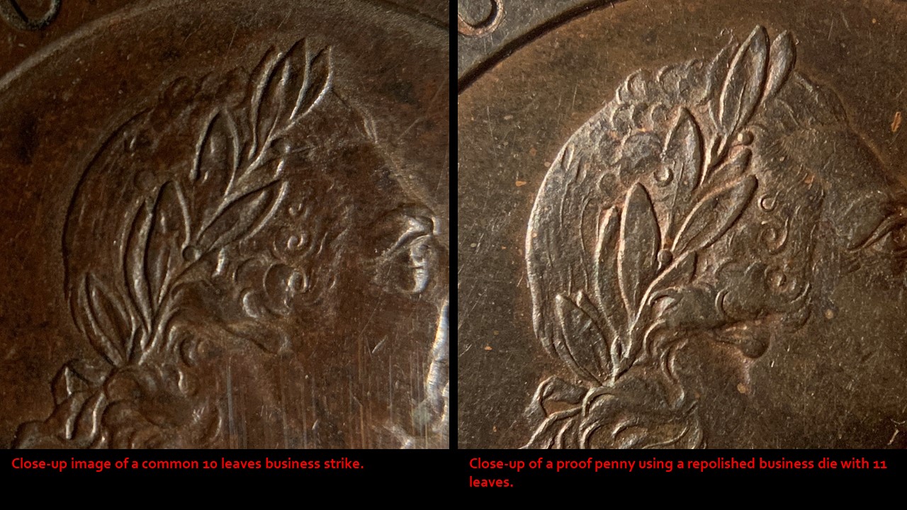 1797 Close up leaves.jpg