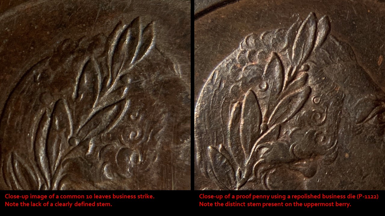 1797 Close up Stem.jpg