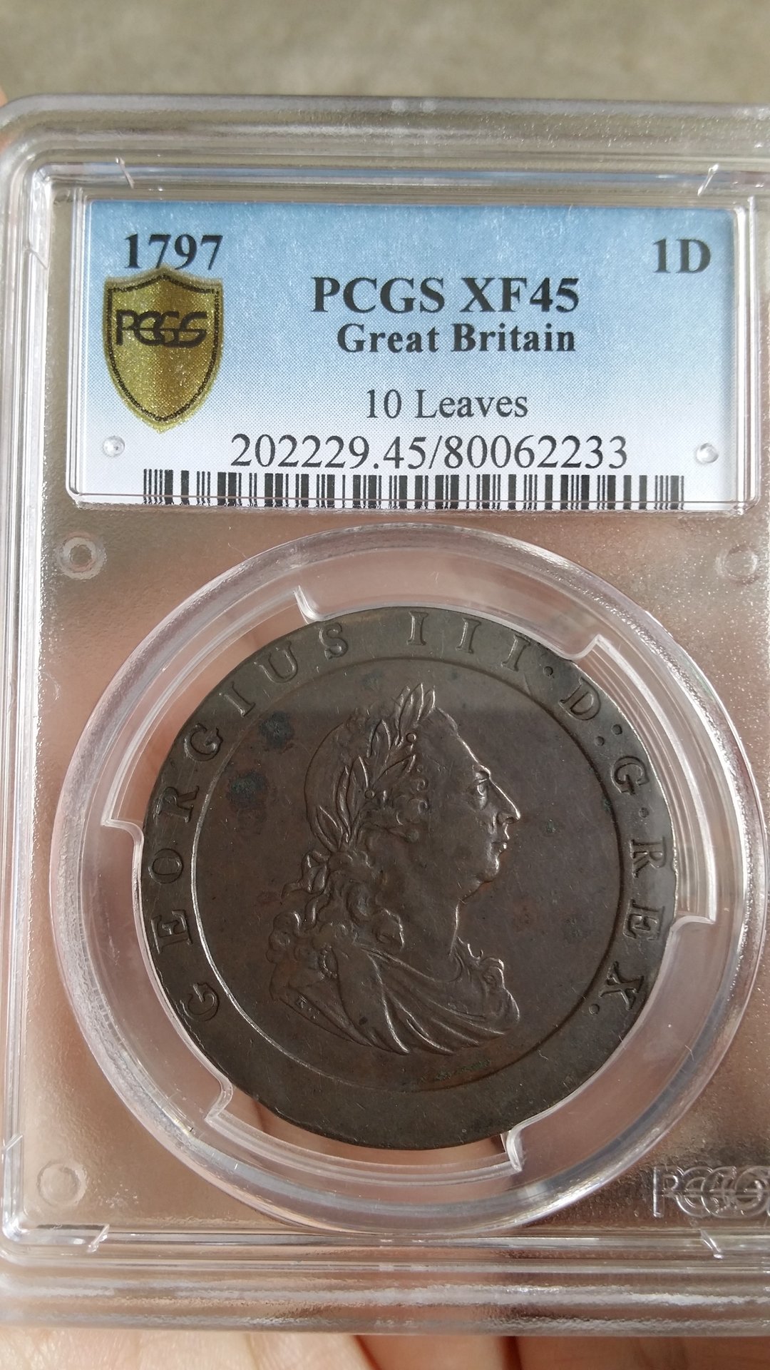 1797a.jpg