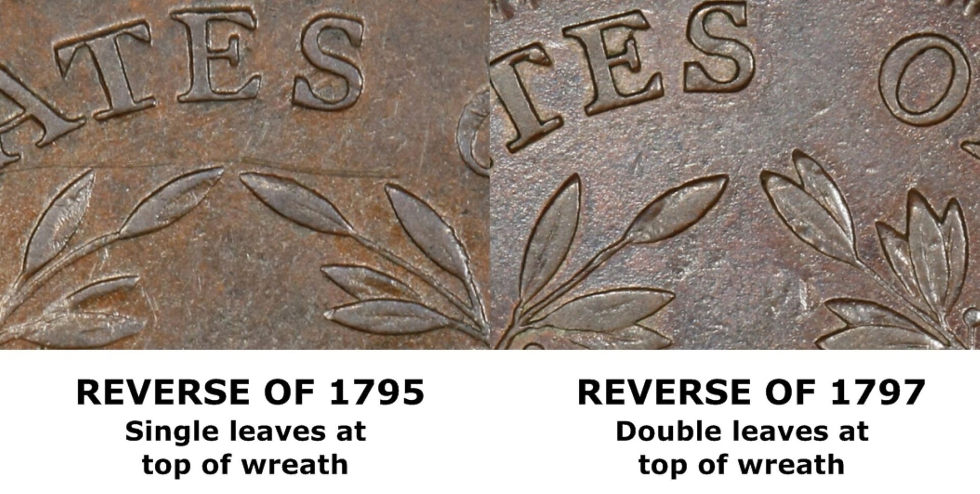 1798.jpg