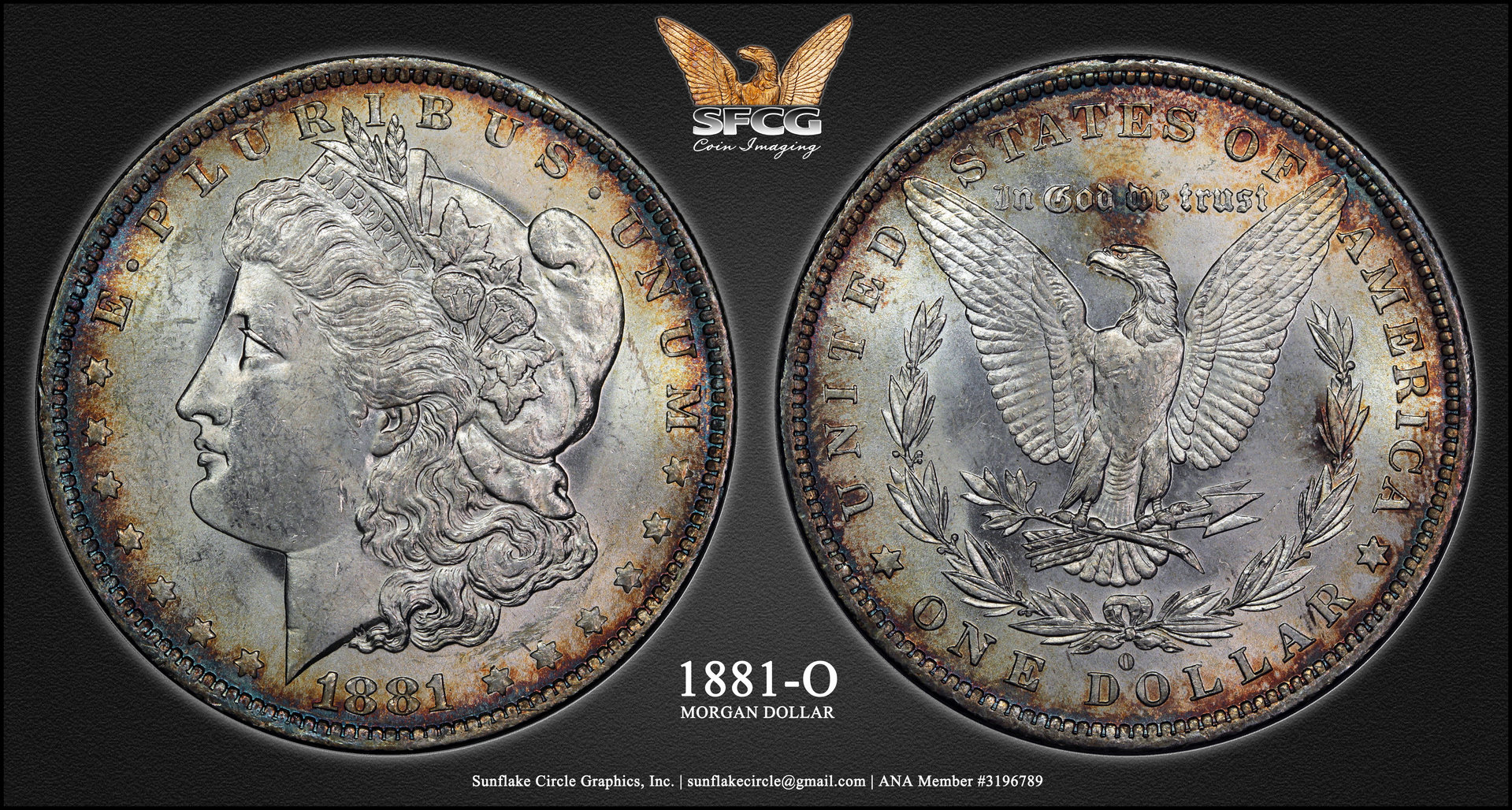 (17a) 1881-O.jpg