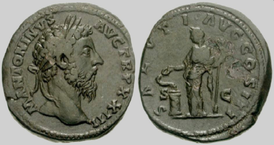 17A---Marcus       31'9   250  E160.jpg
