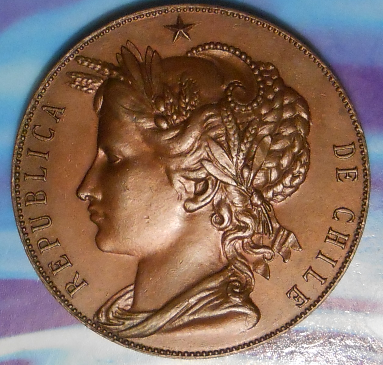 17chili1888agmedalobv.jpg