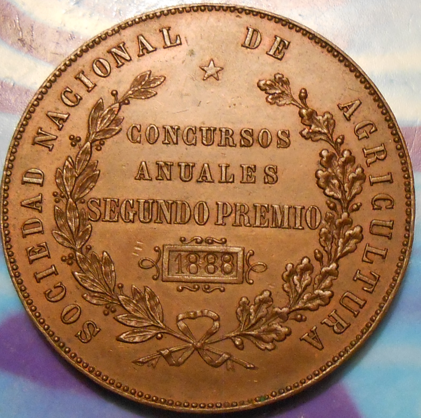 17chili1888agmedalrev.jpg