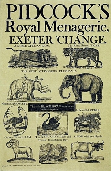 1800PidcocksExhibitionElephantTwoHeadeCowFarthingArtwork1.jpg
