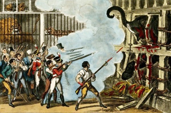 1800PidcocksExhibitionElephantTwoHeadeCowFarthingArtwork3.jpg